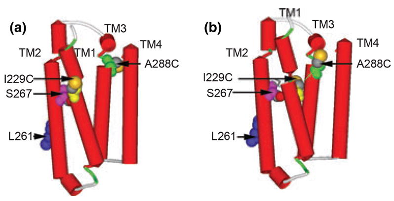 Fig. 6