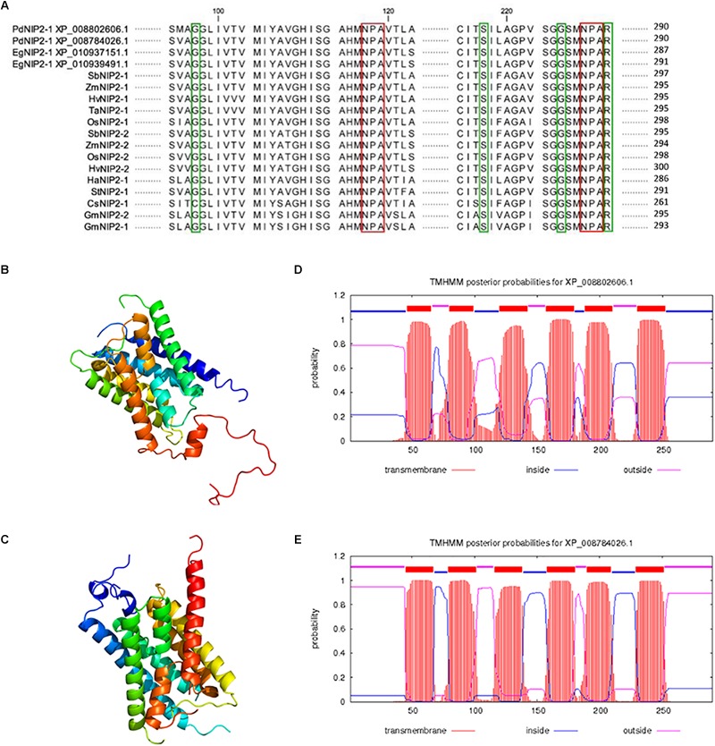 FIGURE 6