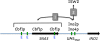 Fig. 9.