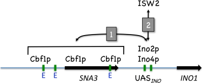 Fig. 9.