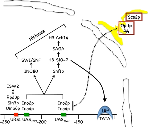 Fig. 1.