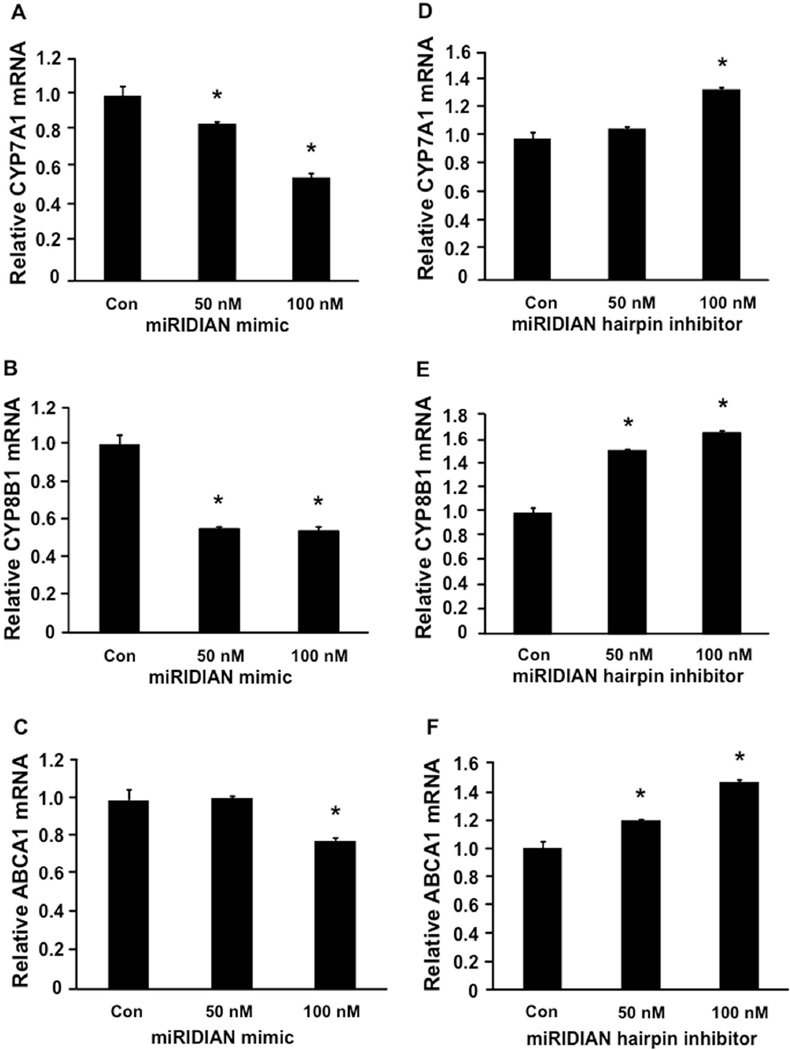 Regulation of cholesterol and bile acid homeostasis by the CYP7A1 ...