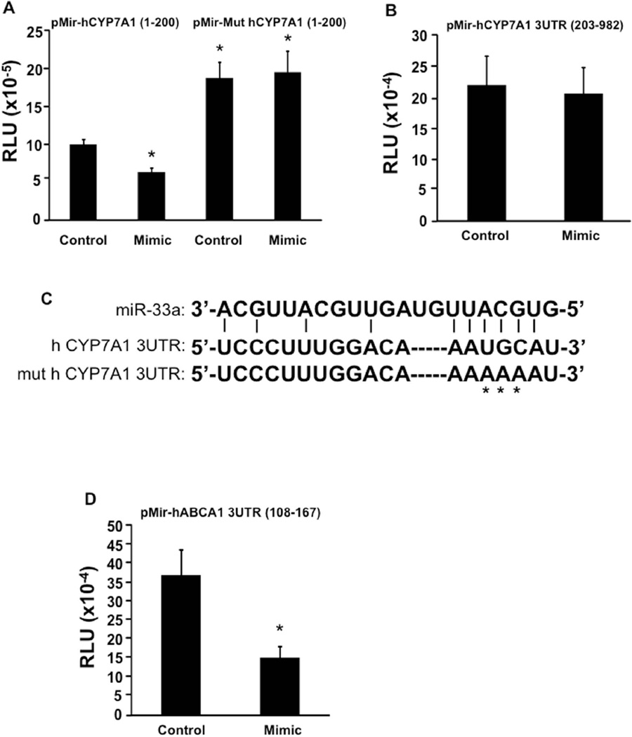 Regulation of cholesterol and bile acid homeostasis by the CYP7A1 ...