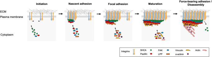 Figure 10.