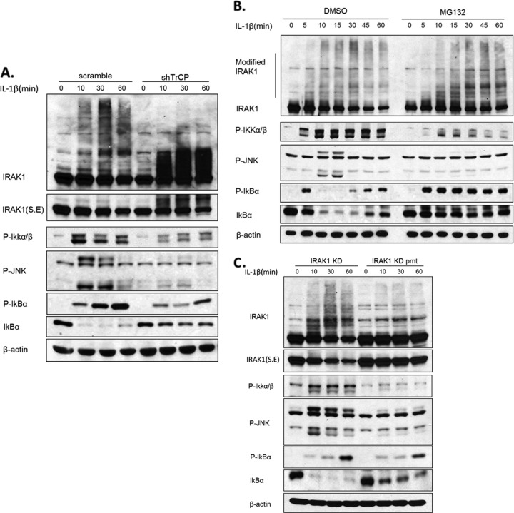 Fig 5