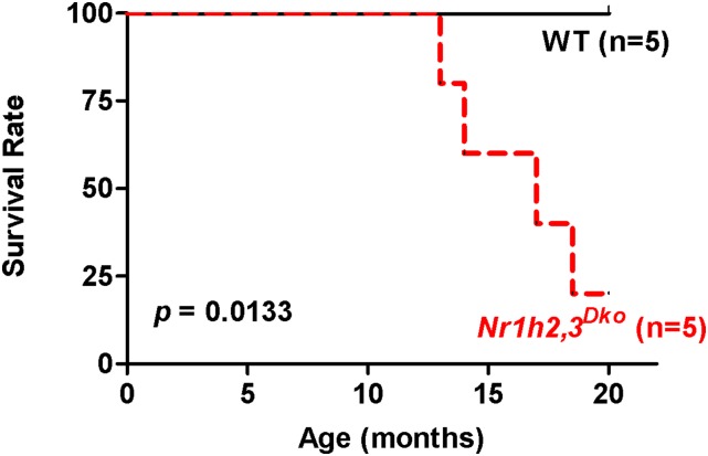 Fig. S1.