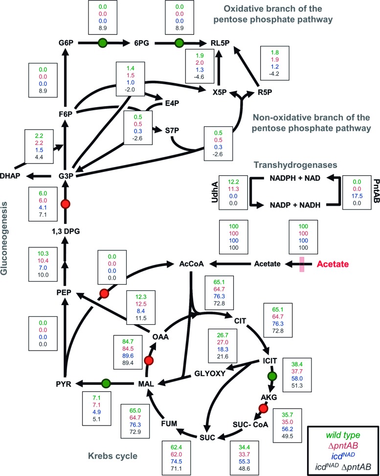 Fig 2