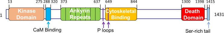 Fig. 1