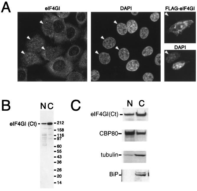 FIG. 3