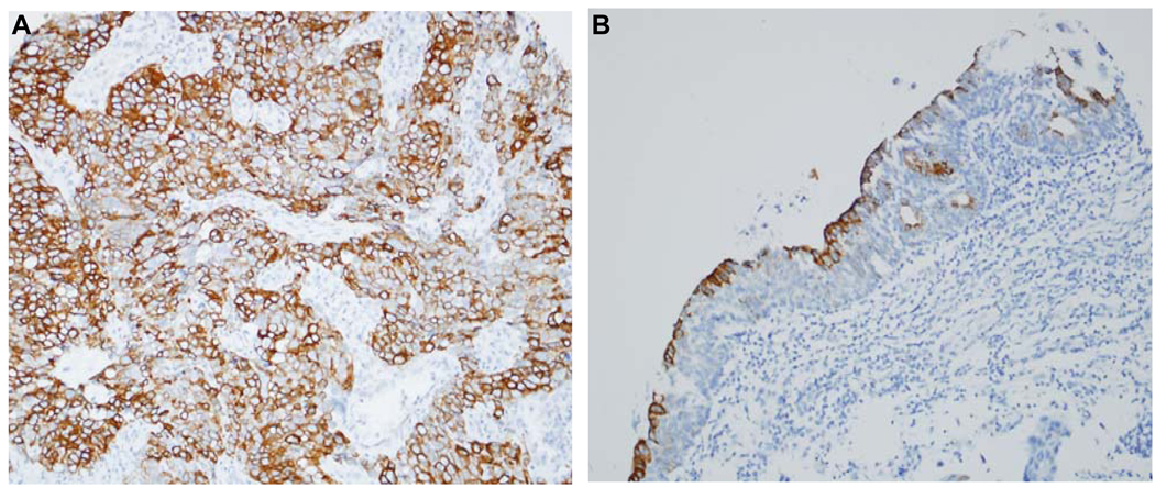 FIG. 6