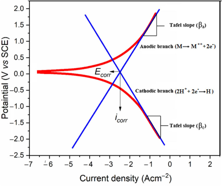 Figure 12