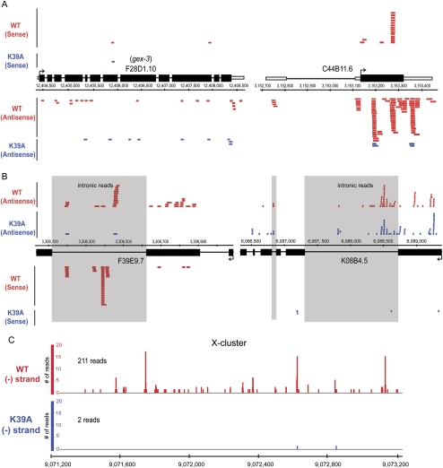 FIGURE 4.