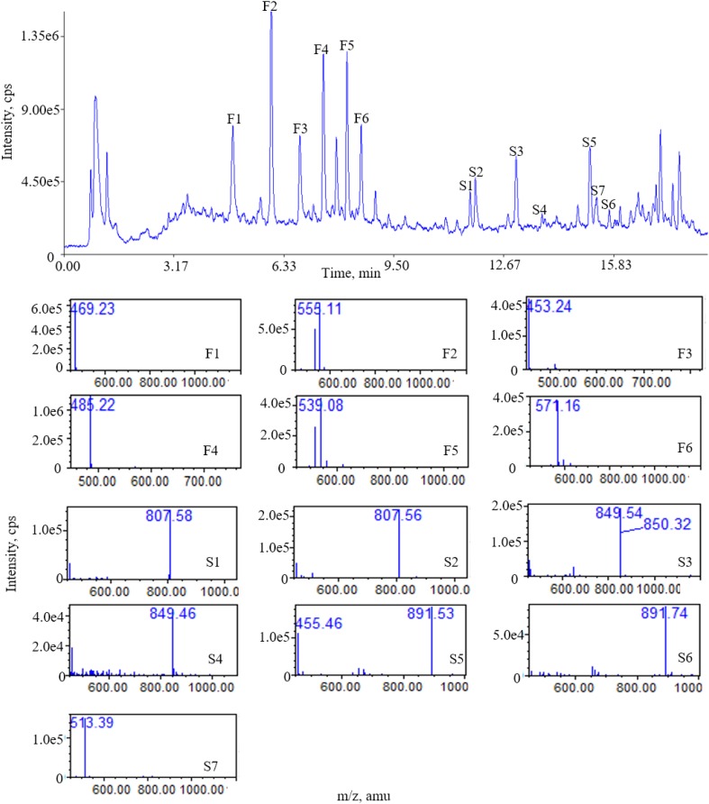 FIGURE 3