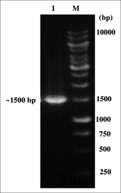 Figure-1