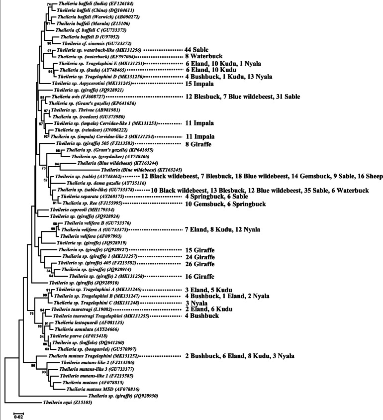 Fig. 5.