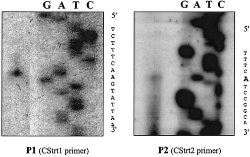 FIG. 4.