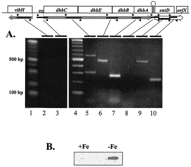 FIG. 2.