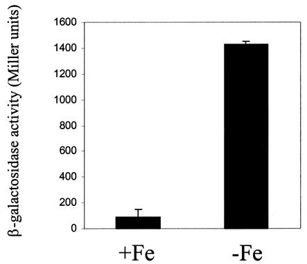 FIG. 5.