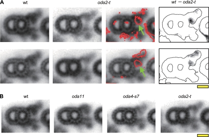 FIG. 6.