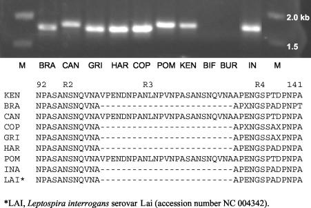 FIG. 7.