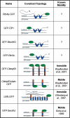 FIGURE 4.