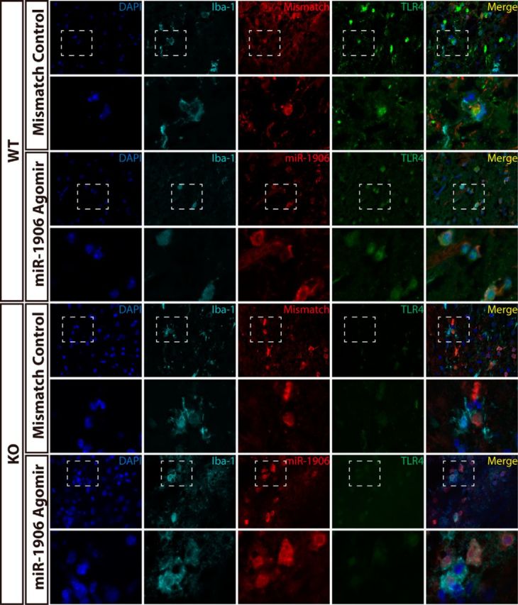 Figure 12.