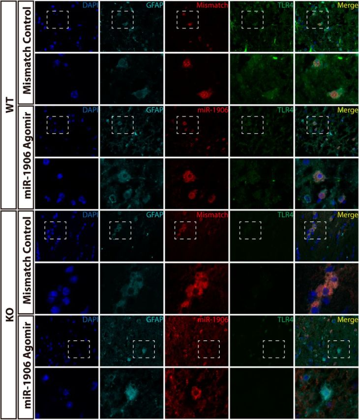 Figure 11.