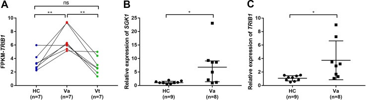 Fig. 2