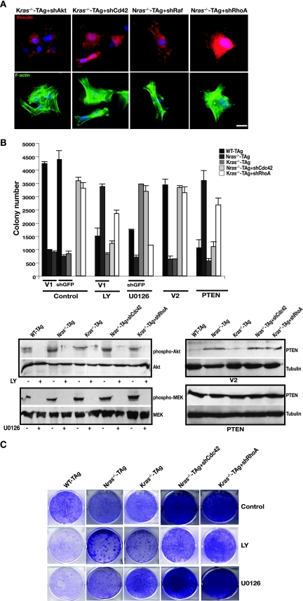 FIG. 6.