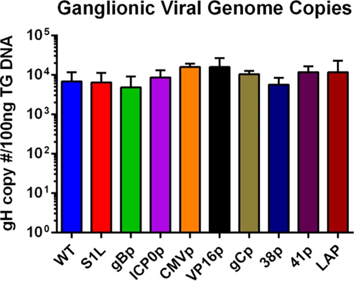 FIG 4