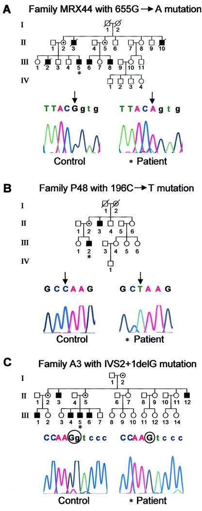 Figure  1