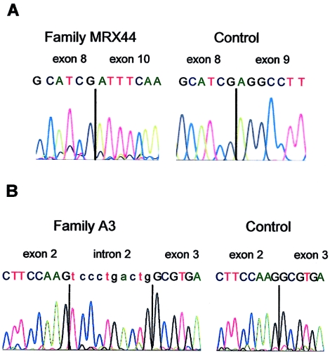 Figure  2