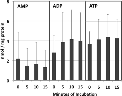 FIGURE 1.