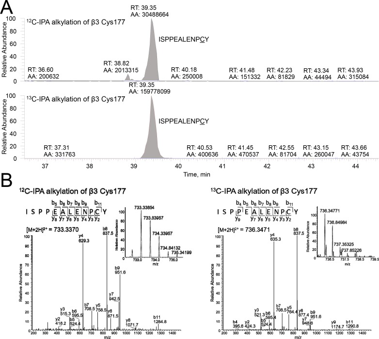 Figure 3—figure supplement 1.