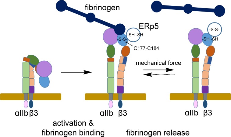 Figure 7.