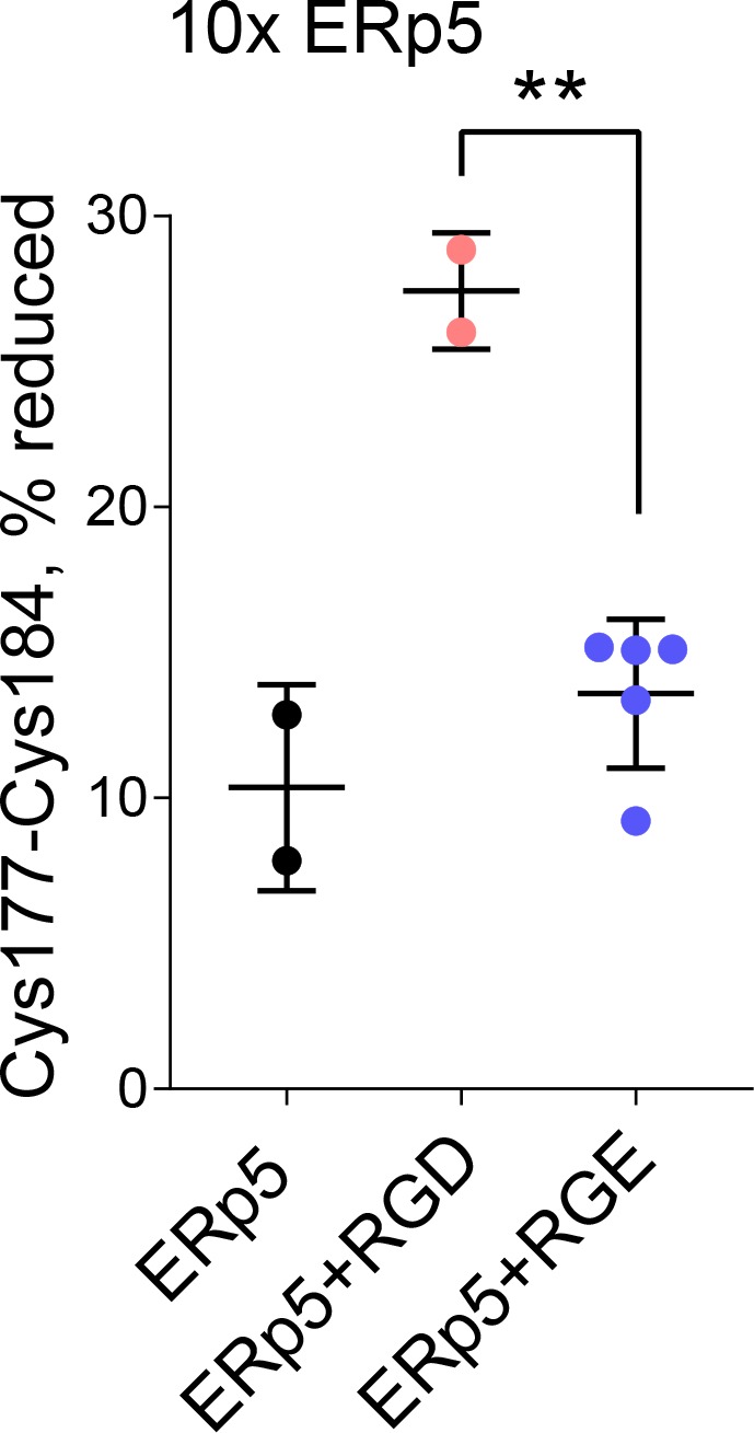 Figure 3—figure supplement 2.