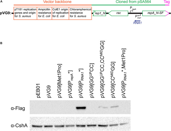 FIGURE 6