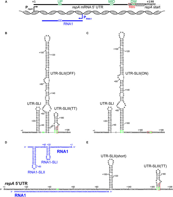 FIGURE 1