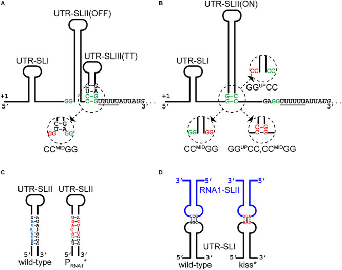 FIGURE 3