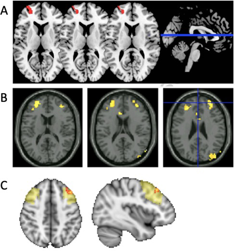 Fig. 3.