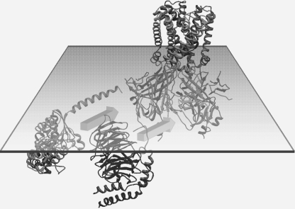 FIGURE 7.