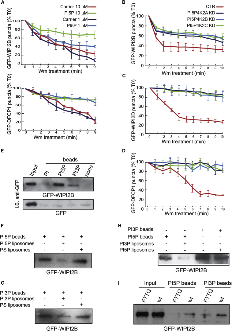 Figure 6