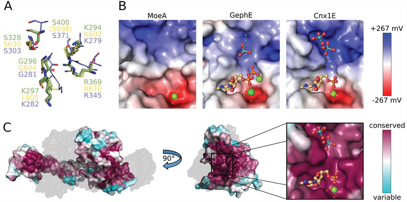 Figure 4: