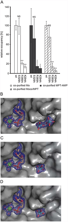 Figure 5: