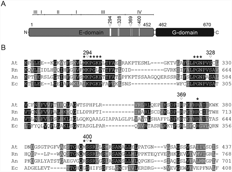 Figure 3: