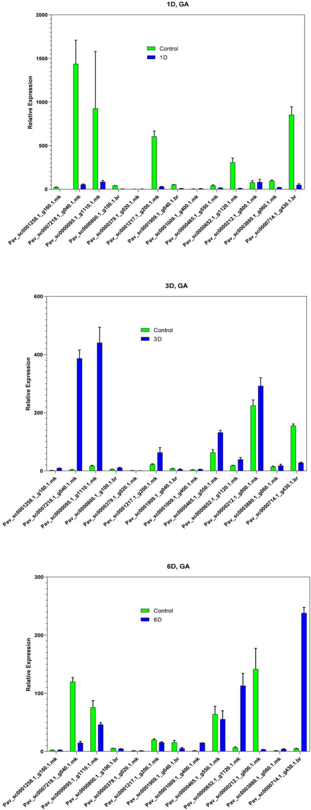 FIGURE 12