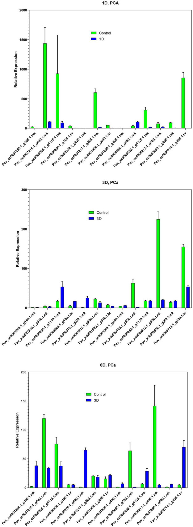 FIGURE 11