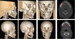 Fig. 8