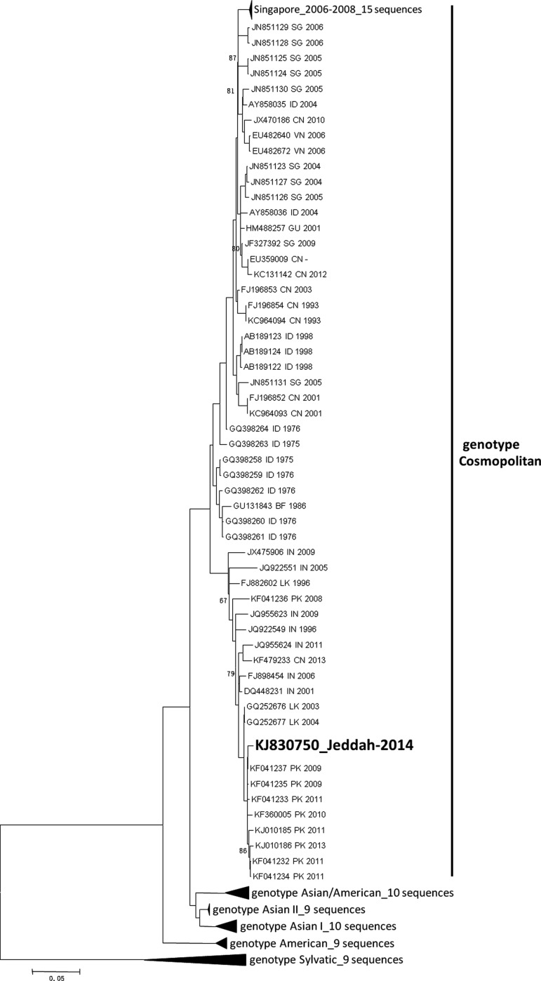 FIG. 1.