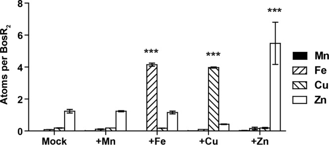 FIG 2